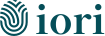 Best Web Development and SEO Company in Lahore